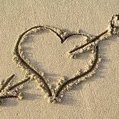 سامر الحوشبي