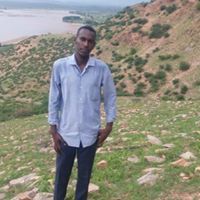 مصطفى ابراهيم