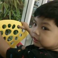 HoneyBee Pueng