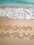 Megha S...