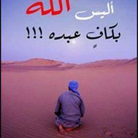 Ahmed Shebl
