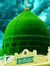 Asad Qadri