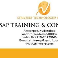 Striveerptechnologies Sap Fscm
