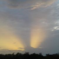 Spurthi Rokhade