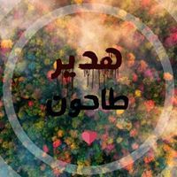 Hadeer Tahoon