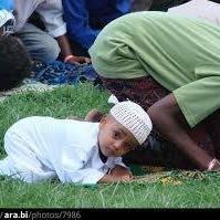 نسيم الحياة