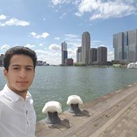 بشار الشيخو