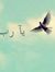 Kholoud...