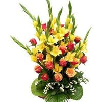 संजय कुमार