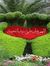 Manal Mady