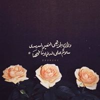 شيري أبوشعبان