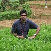 Hirantha Silva