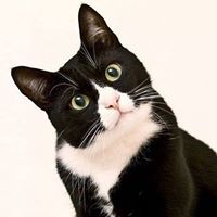 ศิริพันธ์ ศักดิ์ศิริ