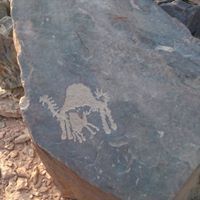 ولد الحميري