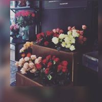 محمد الوسيدي