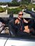 Traci D...