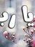 Fatma M...
