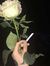 Ahmeedd...