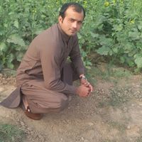 Sajid Imran
