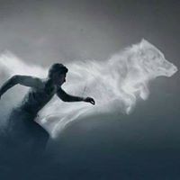 جونيور ميركوس