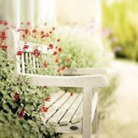 جوافه تولين