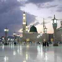 Alaa Ali