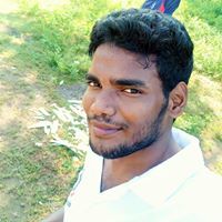 Saroj Lipu