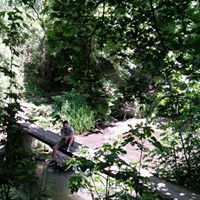 Γιάννης Χρυσούλης