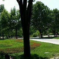 عباس الجبوري