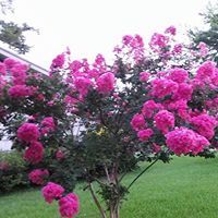 Doris Anderson Mathis