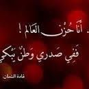 اوركيدا اوركيدا