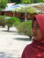 Ika Fitria