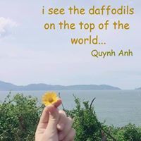 Quynh Anh