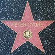 Gyure Peter