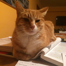 Axel