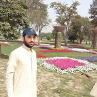 Ashfaq Ali