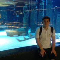 Андрей Бакал