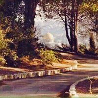 Montaha Rashed