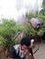 Olarewa...