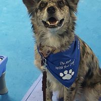 Stacy Mcconnell-Pyrek