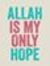 Wajid R...