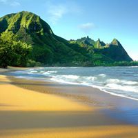 محمد صلاح الدين