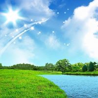 محمد الجزائري