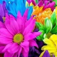 Doaa Athamneh