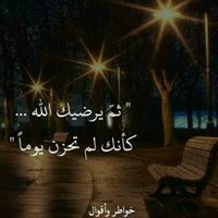 شادي سلام