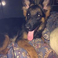 Rajeswari Chandrashekar