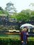 Arief H...