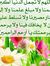 Essam H...