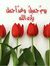 Tarek R...