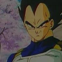 وائل الحمدي